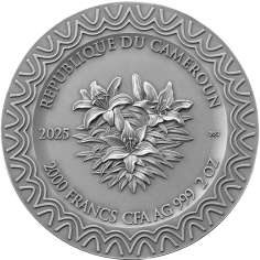 silver-coin-celestial-beauty-aurora-2025-2-ounces-reverse 2