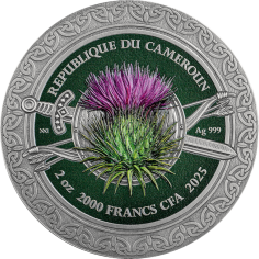 Silver Coin: Femina Bellator – Celtic Warrior – 2025 – 2 Ounces – Reverse 2