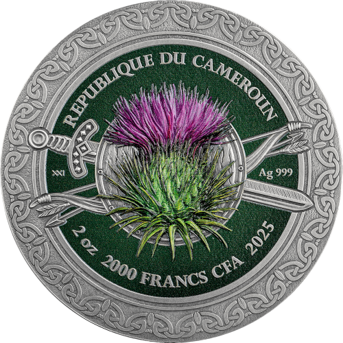 Silver Coin: Femina Bellator – Celtic Warrior Woman – 2025 – 2 Ounces – Obverse
