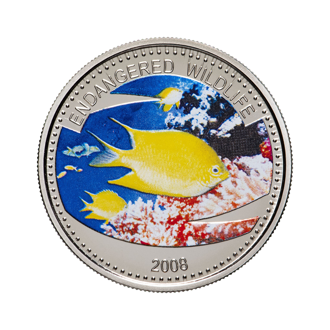 coin-endangered-animals-yellow-lady-shipping-24-h.jpg