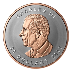 silver-coin-canadian-maple-leaf-1-ounce-2025-ultra-high-relief-reverse3 2