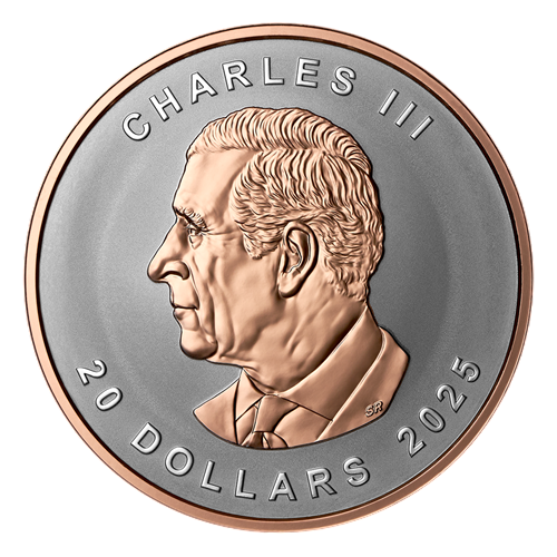 silver-coin-canadian-maple-leaf-1-ounce-2025-ultra-high-relief-obverse