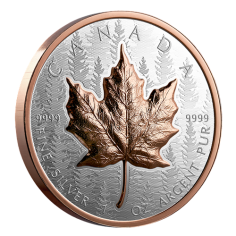 silver-coin-canadian-maple-leaf-1-ounce-2025-ultra-high-relief-reverse3