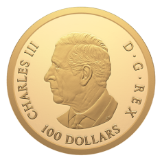 gold coin 100 CAD Canadian Year of the Horse 2026 proof reverse 2