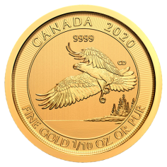 gold coin birds of prey canada bald eagle 1/10 ounce reverse