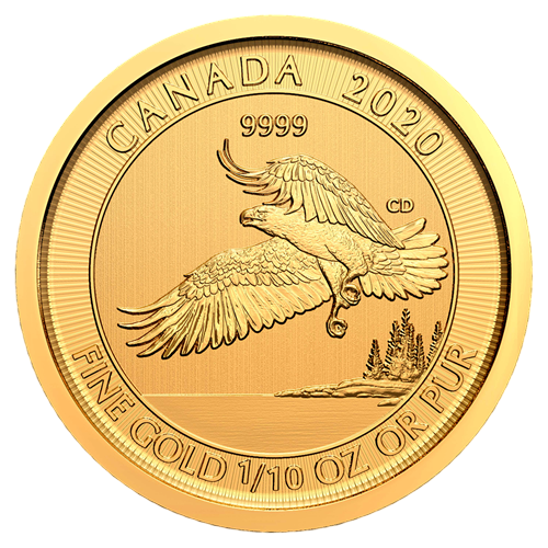 gold coin birds of prey canada bald eagle 1/10 ounce reverse