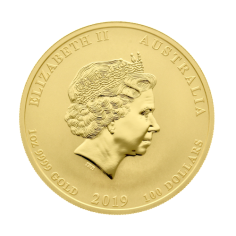 Gold Coin: Year of the Pig 2019, 1/2 Ounce, Reverse 2