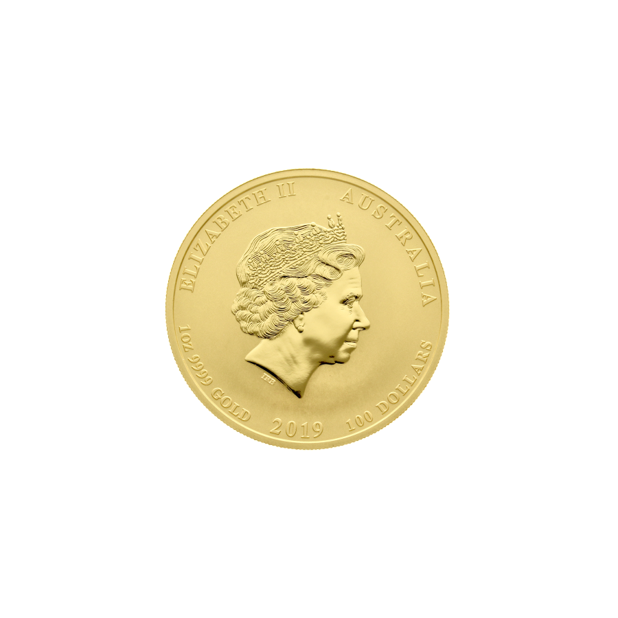 2019 Year of the Pig Gold Coin, 1/2 Ounce, Obverse