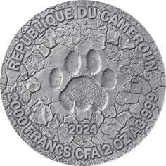 silver-coin-life-cycle-grace-of-the-lioness-2-ounces-2024-4 2
