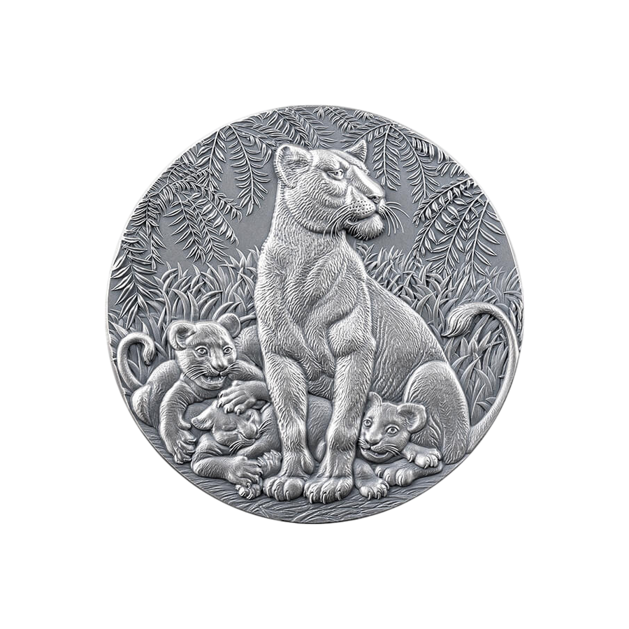 silver-coin-life-cycle-grace-of-the-lioness-2-ounces-2024-4