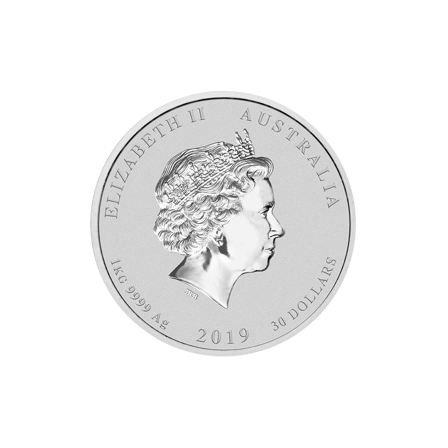 silver-coin-year-of-the-pig-2019-1000-g-1-kg-1
