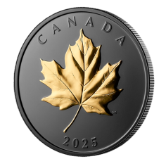 silver-coin-gold-plated-elegant-maple-leaf-2025-1-ounce-1