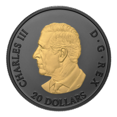 silver-coin-gold-plated-elegant-maple-leaf-2025-1-ounce-1 2