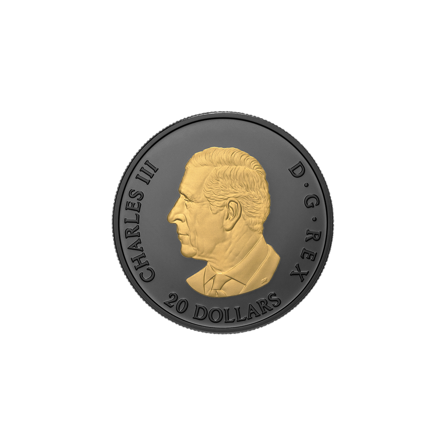 silver-coin-gold-plated-elegant-maple-leaf-2025-1-ounce-2