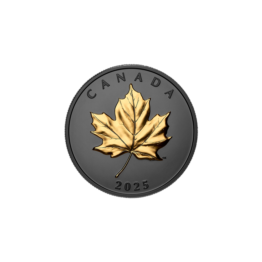 silver-coin-gold-plated-elegant-maple-leaf-2025-1-ounce-3