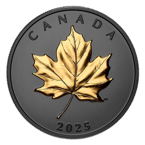 silver-coin-gold-plated-elegant-maple-leaf-2025-1-ounce-3