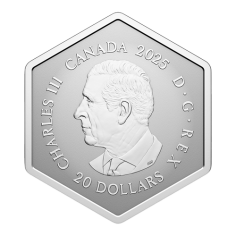 silver-coin-snowflake-with-crystal-2025-3 2