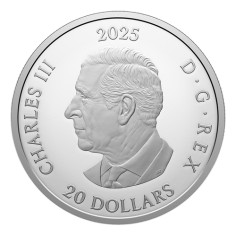 silver-coin-dear-Santa-2025-1-ounce-4 2