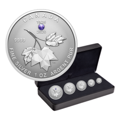 set-of-5-silver-coins-maple-leaf-2026-1