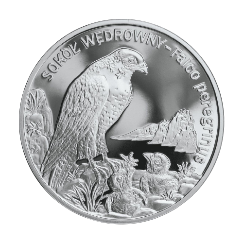 silver-coin-falcon-wanderer-2008-1