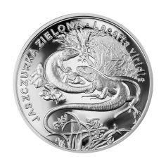 silver coin green lizard 2009 2