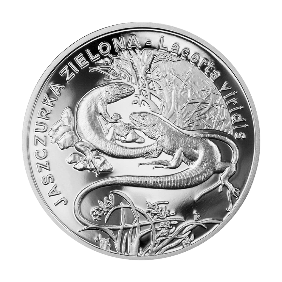 silver coin green lizard 2009 2