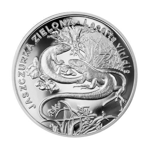 silver coin green lizard 2009 2
