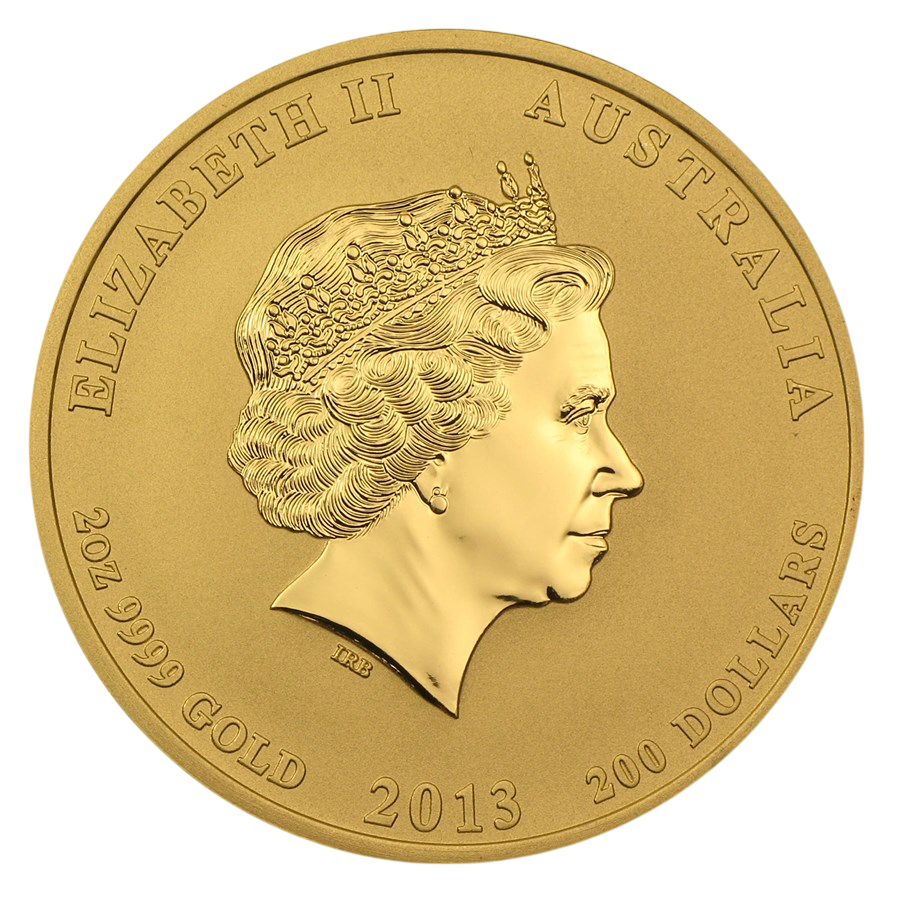 gold coin year of the snake 2013 2 ounces 2