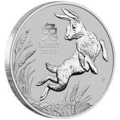 platinum coin year of the rabbit 2023 1 ounce 2