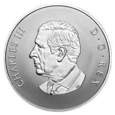 silver-coin-welcome-to-the-world-reverse 2