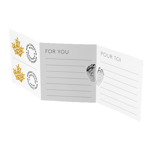 silver-coin-welcome-to-the-world-2025