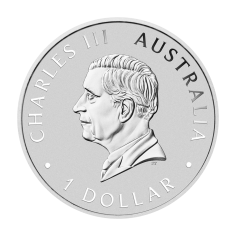 silver-coin-125th-anniversary-perth-mint-1-ounce-reverse 2