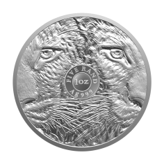 silver coin big five leopard 1 ounce silver 2 2