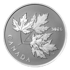 silver-coin-shiny-maple-leaves-2026-2