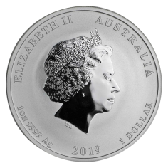 silver-coin-year-of-the-pig-2019-1-ounce-2 2