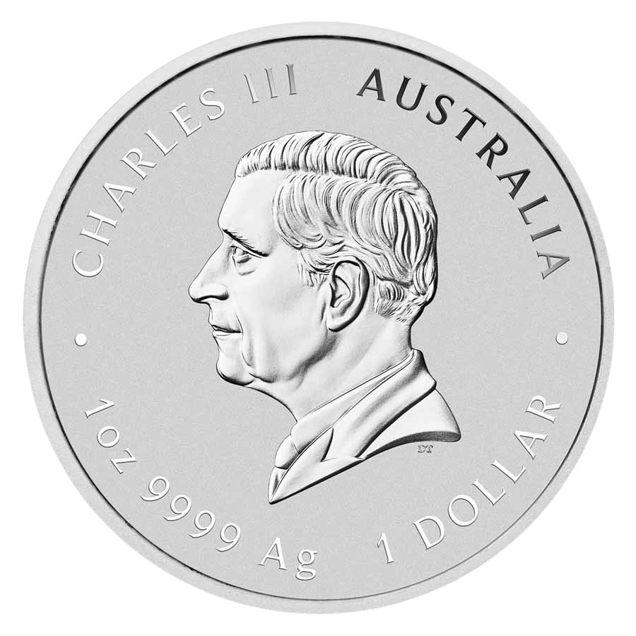 Silver Coin: Year of the Snake 2025, 1 Ounce
