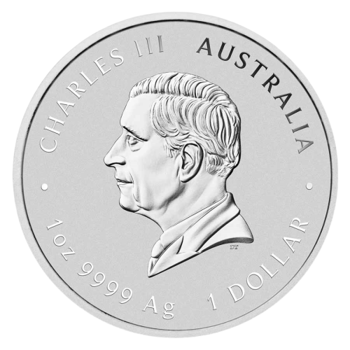 Silver Coin: Year of the Snake 2025, 1 Ounce