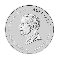 Silver Coin: Year of the Snake 2025, 1000 g, 1 kg, 1 2