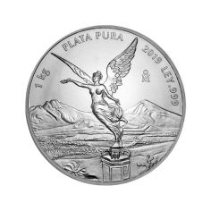 Unsorted Silver Coin – 1,000 g – 1 kg of Silver – 3