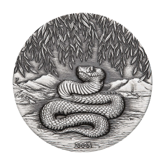 silver-coin-antique-finish-year-of-the-snake-2025-2-ounces-1