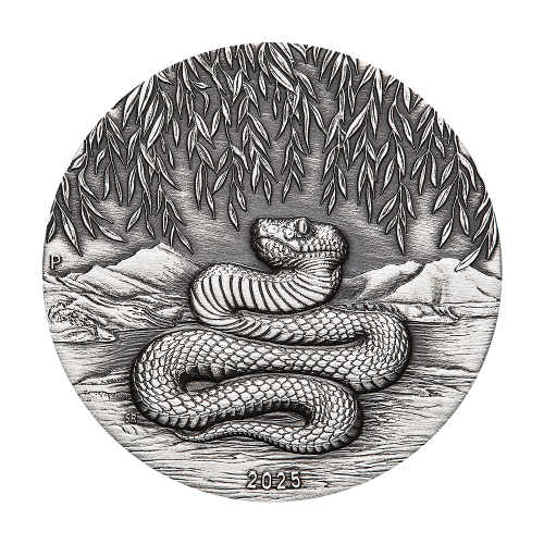 silver-coin-antique-finish-year-of-the-snake-2025-2-ounces-1