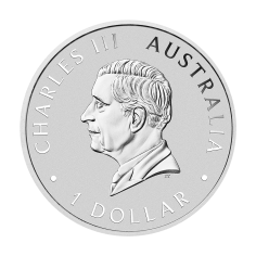 silver-coin-australian-eagle-1-ounce-2026-2 2