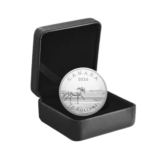 silver-coin-horses-from-sable-island-1-ounce-2026-2