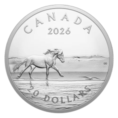 silver-coin-horses-from-sable-island-1-ounce-2026-3