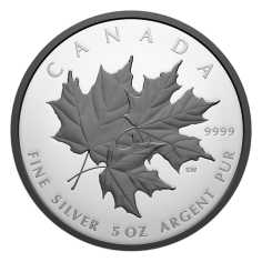 Silver-Rhodium-Plated-Triple-Canadian-Maple-Leaf-5-Ounce-2026-3