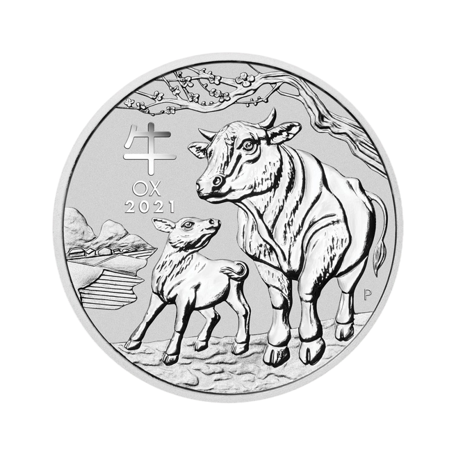 unsorted-silver-coin-5-ounces-of-silver-4
