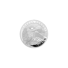 unsorted-silver-coin-1-4-ounces-1 2
