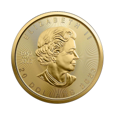 gold-coins-coin-maple-leaf-1-2-ounce-gold-obverse 2