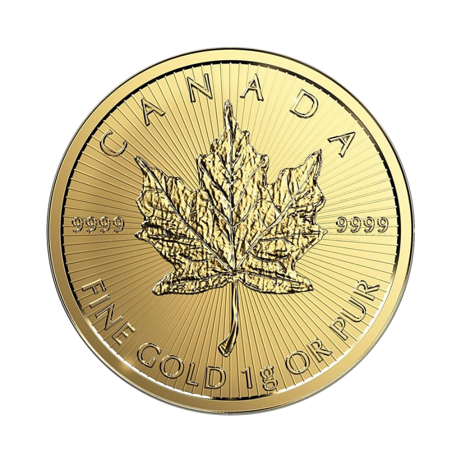 Canadian Maple Leaf Coin 25 x 1 g gold - 24-hour shipping!