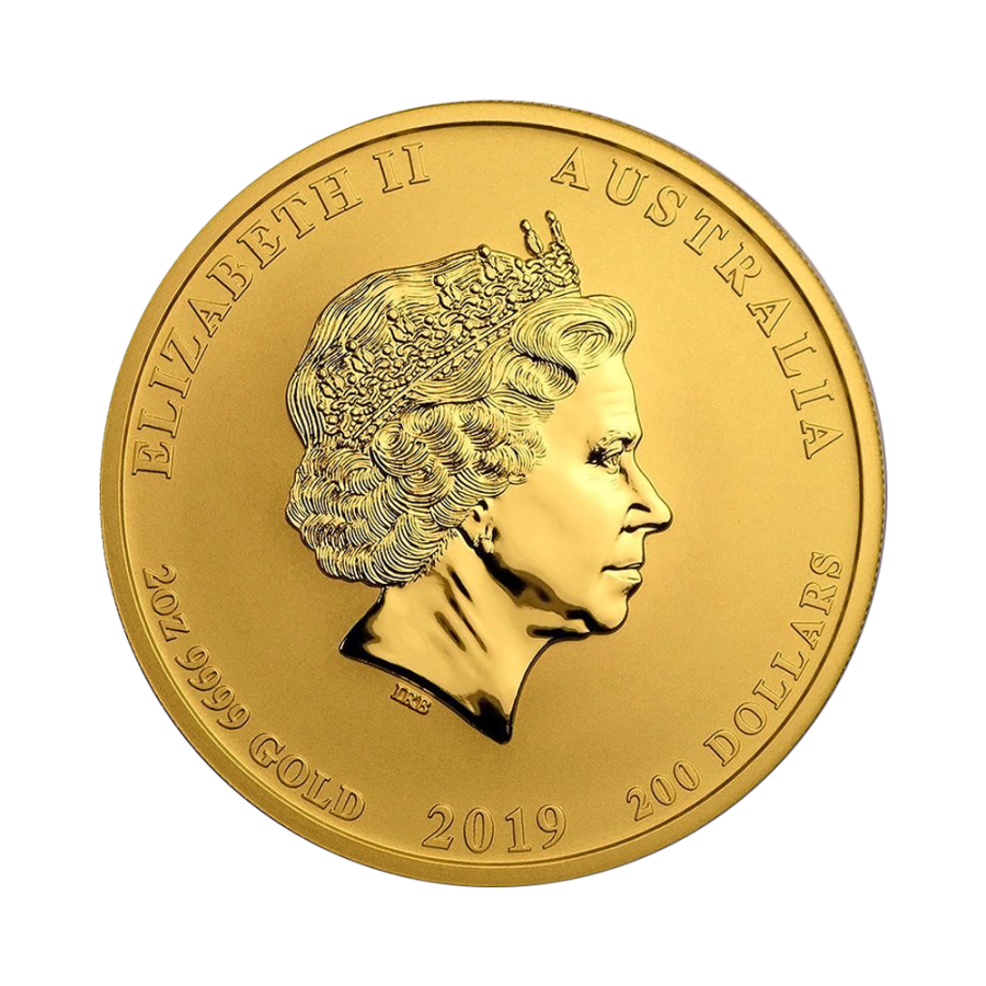 gold-coins-2019-year-of-the-pig-2-ounce-gold-obverse